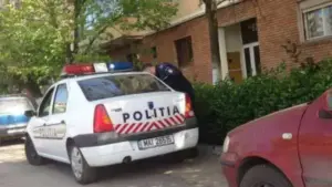 orizontul” lui franți - dealer