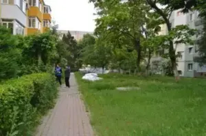pastile + alcool = panică