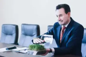 o bucată de gazon