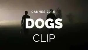 cinematografia românească este răsfățata criticilor