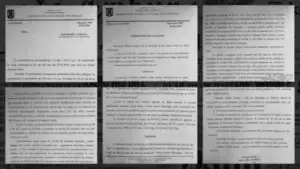 O face intenționat sau e, pur și simplu, proastă?! Ani bagă ziariștii în belele, publicând pe site-ul integritate. Eu informații eronate! 2 clasare collage all