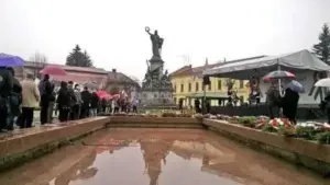 mergeți deseară la concert