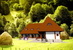 ce trebuie să știi dacă