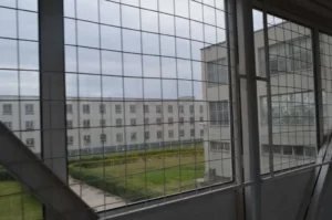 proiectul guvernului româniei pentru grațierea
