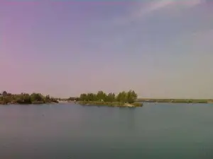 o femeie bolnavă psihic s-a