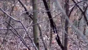a fost identificat cadavrul bărbatului