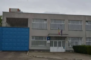 alde a depus în parlament