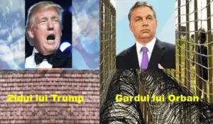 zidul lui trump și gardul