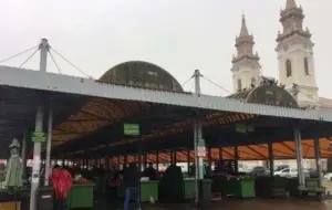 dume” marca falcă