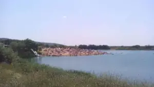 balta de la ghioroc are pește