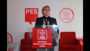 anca stoenescu (psd)