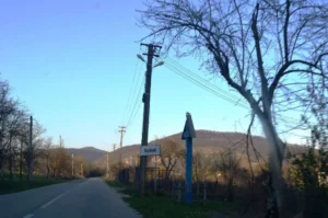 trei tineri braconieri au fost