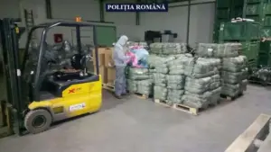 se plimba cu magazinul ilegal