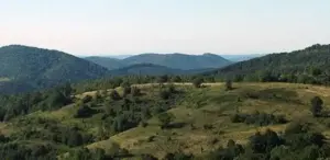 folclor cu vânători la chisindia