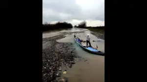 peisaj post-apocaliptic... îmbunătățit - ofertă