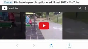 au amendat bizonul. arădeanul care