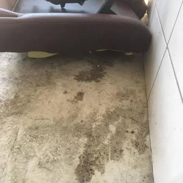 sobolani mercedes 7