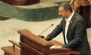 senatorul adrian wiener a depus