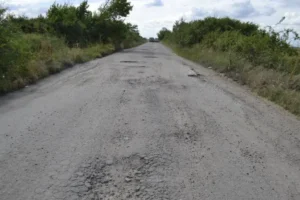un neamț de 42