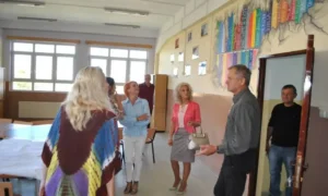 liceele din ineu și curtici