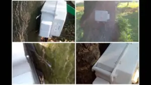 ultima „ispravă” a primăriei arad