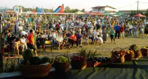 ziua recoltei la felnac -