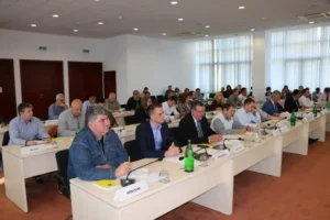 consiliul județean arad acordă 54