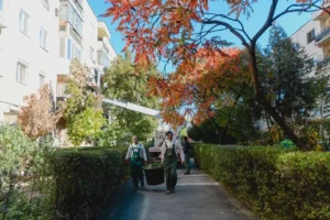 campania „curăţenia de toamnă”