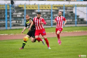 uta a zdrobit național șebiș