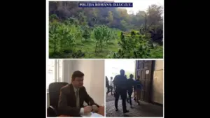 plantație istorică la petriș. 128