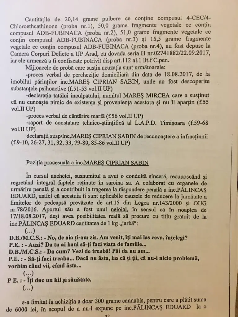 Aradul FABULOS: Șefii DIICOT și SRI plimbă droguri din Alfa-n Micălaca prin Frank Sinatra și Robert de Niro... după care se arestează-ntre ei! Citim RECHIZITORIUL inculpaților Ciprian Mareș și Edi Pălincaș - file alese din „ISTORIA PROSTIEI CONTEMPORANE LA ÎMBUIBAȚI”