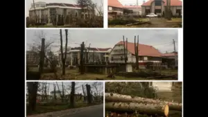 sebișul - despodobit cu prilejul