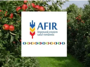 cererile de finanțare pentru submăsura