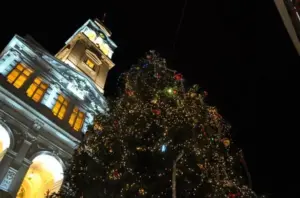 pomul de crăciun a fost