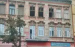 Cine spune că „aradul e mort” oare se înșeală?! 14 arad urat