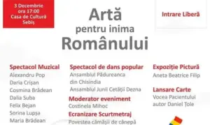 spectacol caritabil la sebiș