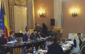 falcă nu îşi poate reţine