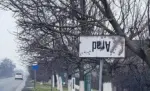 La vremuri noi, tot noi! 13 arad