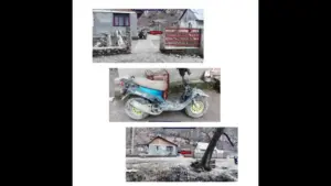 un tânăr din lipova