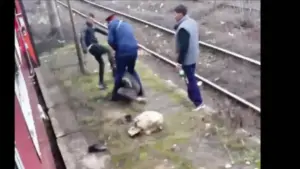 cfr călători l-a dat afară