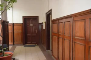 dementul care a înjunghiat