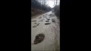 deputatul dorel căprar