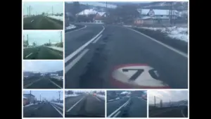 dn 7 - varză