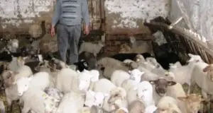 un creștin de 22