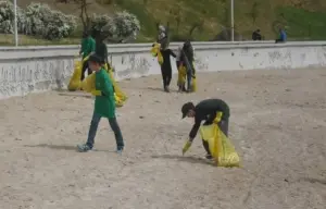șase ani de colectare selectivă