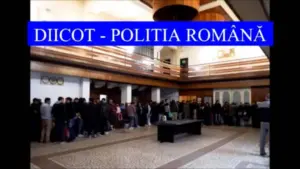 diicot a anihilat o rețea