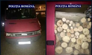 nu se poate împăduri cât