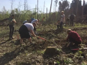 acțiune de împădurire în zona ususău