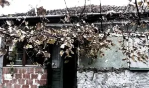 un moldovean a intrat prin