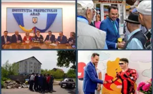 din seria „asta înseamnă